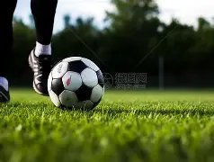 独家揭秘,大连英博外,援拉布亚德,星际娱乐官网,星际娱乐官网在线娱乐平台