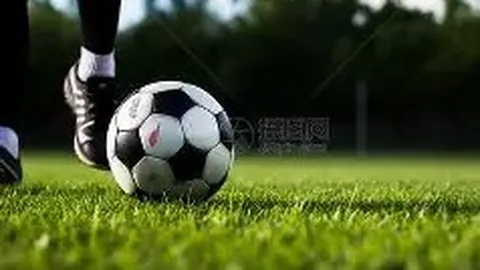 【独家揭秘】大连英博外援拉布亚德告别战：合约终止，未来何去何从？