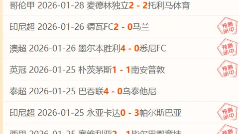 富勒姆战胜伍尔弗汉普顿，穆尼斯表现卓越