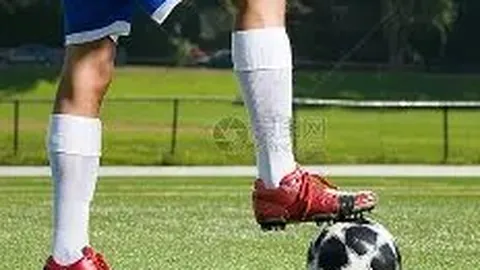 凯尔特人新秀夜，黄蜂新秀获月最佳荣誉